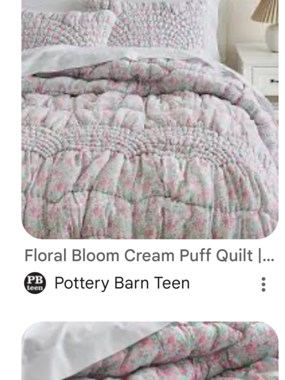 Pottery Barn Teen Cream and Pink Floral Puff Quilt and 2 shams